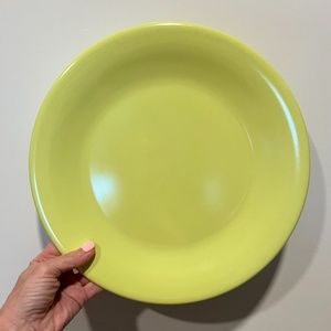 Excellent Condition! Set of 4 Heavy Duty Non-Breakable Dinner Plates